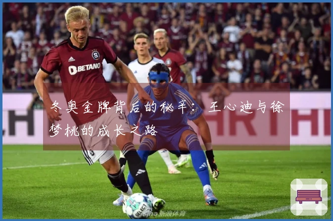 冬奥金牌背后的秘辛：王心迪与徐梦桃的成长之路