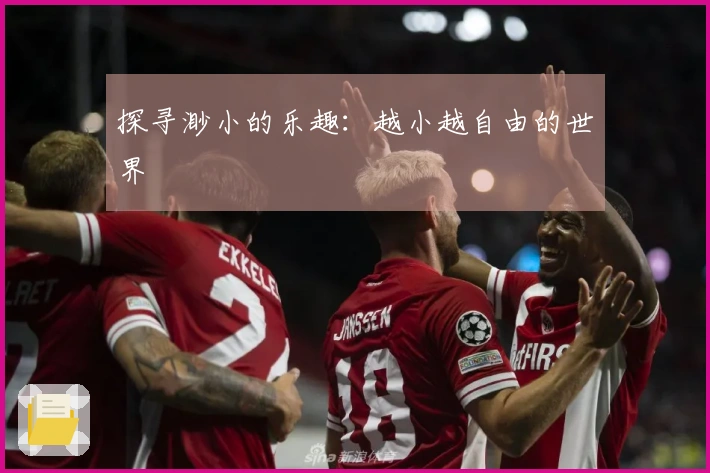 探寻渺小的乐趣：越小越自由的世界