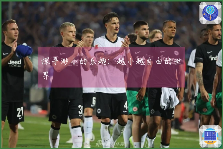 探寻渺小的乐趣：越小越自由的世界